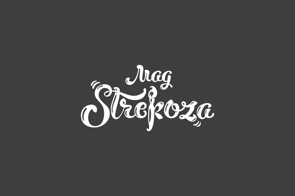 дизайн логотипа магазина рукоделия Стрекоза на заказ от Реконцепт